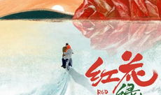红花绿叶电影,揭秘革命岁月里的生死情缘