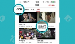 91电视直播安卓版下载,畅享海量直播，轻松下载体验