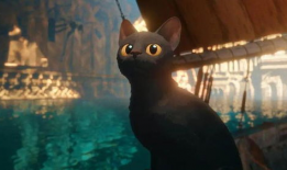 电影猫,探寻神秘生物的奇幻之旅